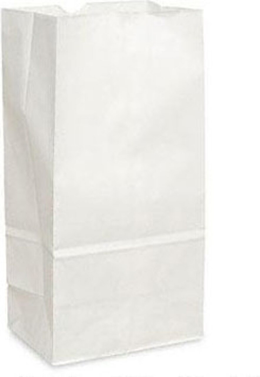White Paper Bags – 12 Pack, 10"H x 5"W x 3"D Gift, Craft, Party, and Classroom Use